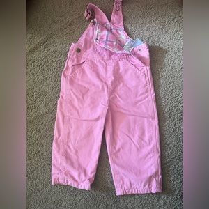 2T Carhartt Lined Bibs